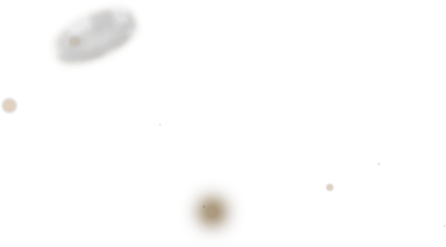 icon chip