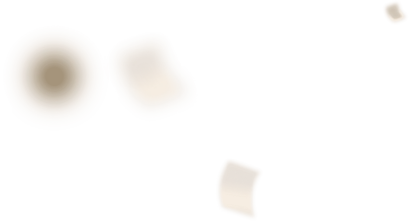 icon chip